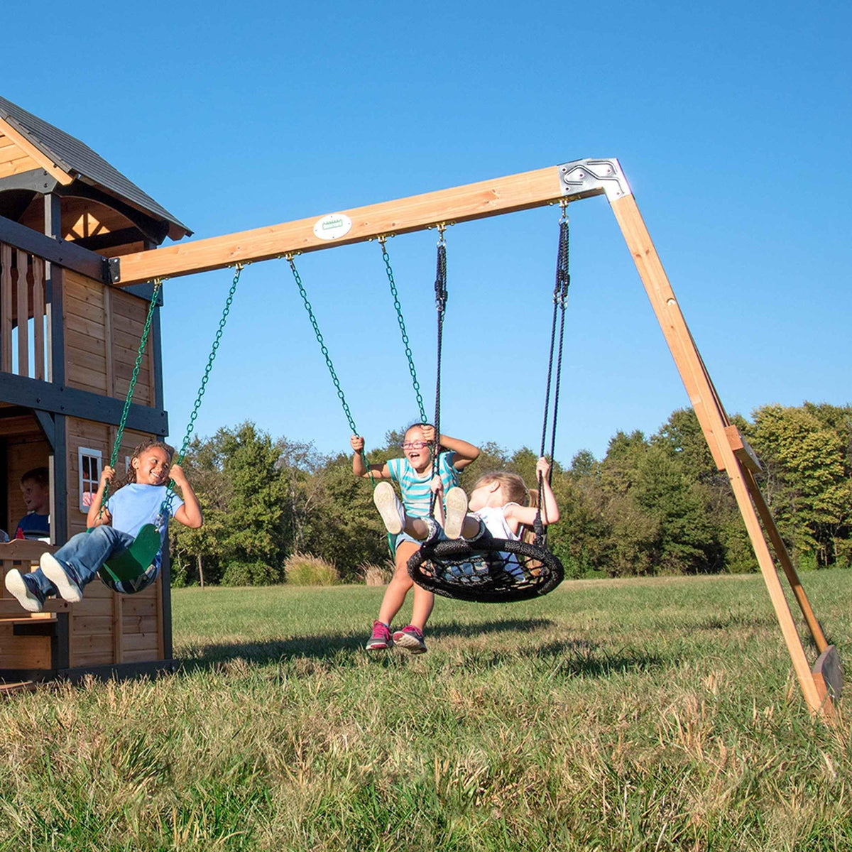 Backyard Discovery Canyon Creek Swing Set.